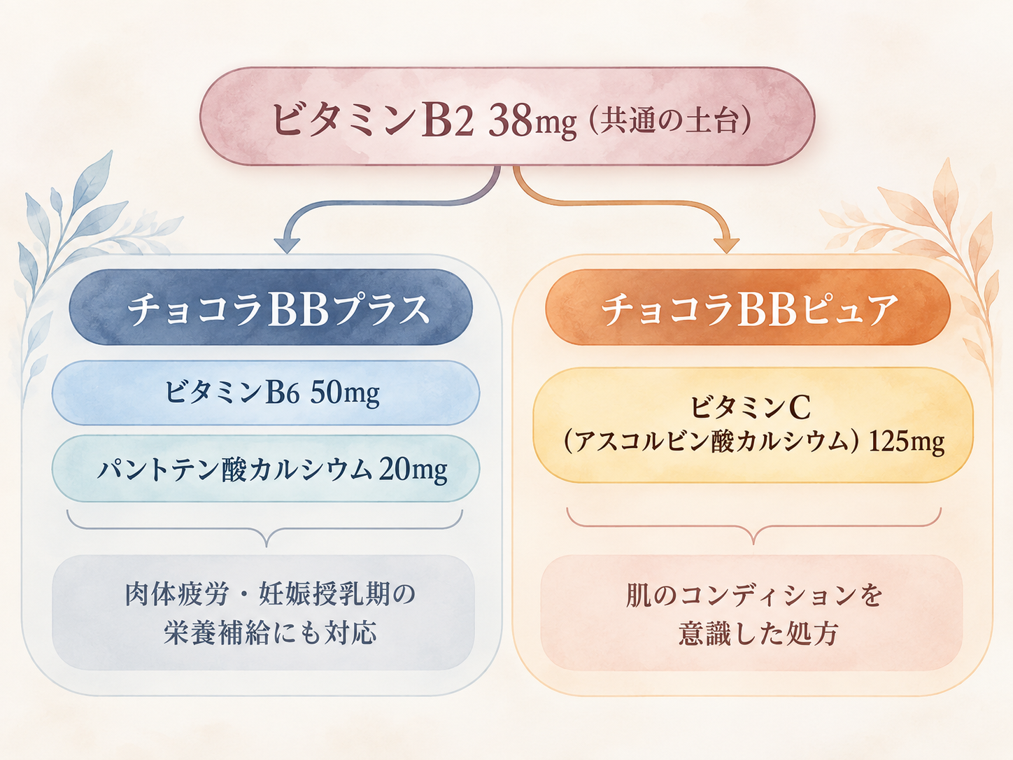 チョコラBBプラスとピュアの共通成分と差分成分を示す系統図